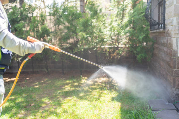 Trusted Pahrump, NV Pest Control Experts
