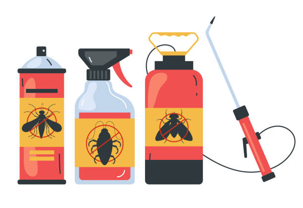 Best Flea Control Services  in Pahrump, NV